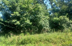 Lot 60 Cheyenne Lane, Perryville, MO 63775