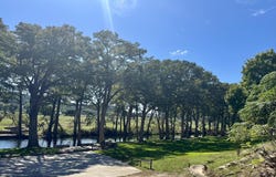 350 Ranch Rim, Hunt, TX 78024