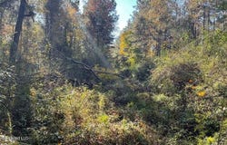 Schmidt Road, McComb, MS 39648