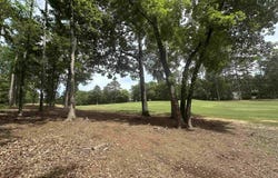 537 Misty Banks Drive, Chapin, SC 29036
