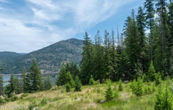 161 FINCH TRAIL, Sandpoint, ID 83864
