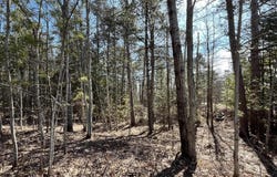 TBD N 8th, Manistique, MI 49854