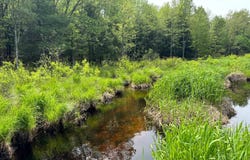 1.10 Marsh Rd., Vienna, NY 13042