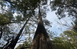Moro Bay, Moro Bay, AR 72368