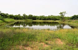 351 County Road 126, Coleman, TX 76834