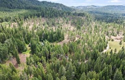 Nkn Sunrise Hill Ln, Newport, WA 99156