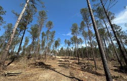 3 Highway 478, New Hebron, MS 39140