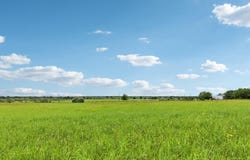 170 Zack LN, Giddings, TX 78942