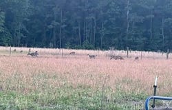 6880 Bloomville Road, Manning, SC 29102