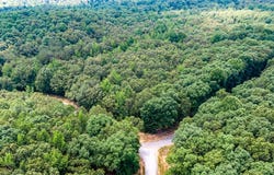 334 LOGGER Lane, Cedar Grove, TN 38321
