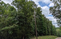 Kimberly Drive, Ozark Acres, AR 72482