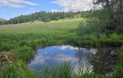 4439 Whittier Rd, Clayton, WA 99110