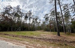 13619 CRABAPPLE Lane, Franklinton, LA 70438