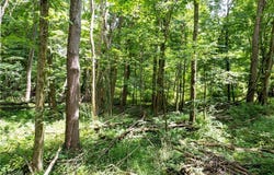 Township Road 1151, Nova, OH 44859