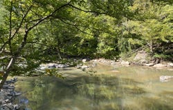 0 War Eagle Drive, Bessemer, AL 35022