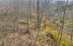 137 Village Cluster Road, Beech Mountain, NC 28604