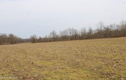 6000 Austin Road, Lake Cormorant, MS 38641