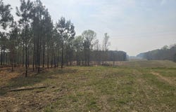 COUNTY ROAD 108 lot: 10, ROCKFORD, AL 35136
