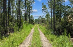 TBD Yates Creek Road, Perry, FL 32348