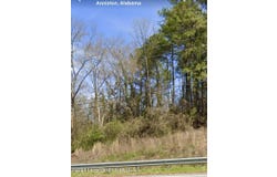 Greenbrier Dear Rd, Anniston, AL 36207