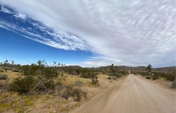 Saddleback Road, Joshua Tree, CA 92252