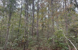 1281 0 Jack and Johnny Rd. SW, Shallotte, NC 28470