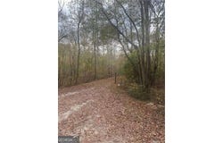 9905 BRAZELL, Palmetto, GA 30268