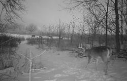 86 Ac County Road S, Gays Mills, WI 54631