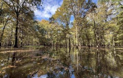 01 70 Highway, Biscoe, AR 72017