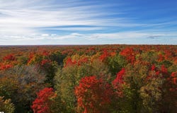 7189 County Road 571, Kalkaska, MI 49646