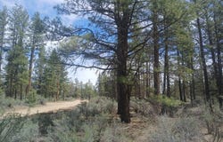 Moccasin Lane, Chiloquin, OR 97624