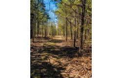 1 142-E, Doniphan, MO 63935