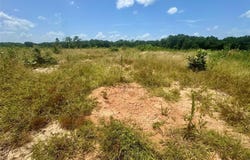 0000 County Road 4307, De Kalb, TX 75559