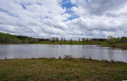 38 acres COUNTY ROAD 120, ROCKFORD, AL 35136