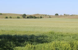 0 Highway 50, Mooreland, OK 73852