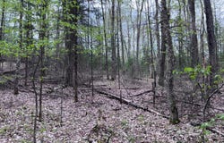 Off MOONSHINE VALLEY RD, Presque Isle, WI 54512