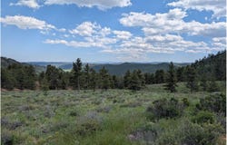 2898 Red Ashby Rd, Livermore, CO 80536