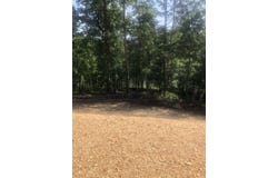 80 Caney Cove Rd, Phil Campbell, AL 35581