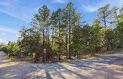 98 Trails End Drive lot: 98, Pine, AZ 85544