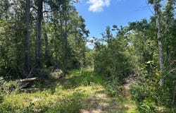 Hwy 570, Summit, MS 39666
