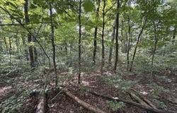 1133 Flood Road, Hardinsburg, KY 40143