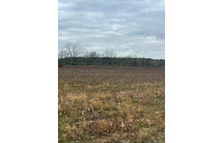 Franks Road, Fitzgerald, GA 31750