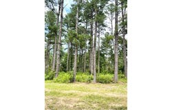 004 Carpenter St., Jena, LA 71342