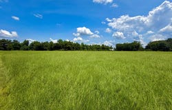 Alpine Tr, Willacoochee, GA 31650