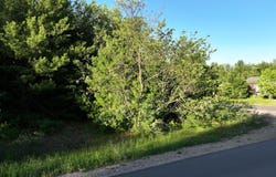 Altorf Strasse lot: 116, Gaylord, MI 49735