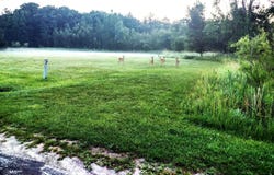 Appleby lot: 49, Gladwin, MI 48624