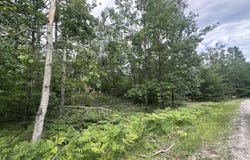 Partridge Place lot: 1634, Gaylord, MI 49735