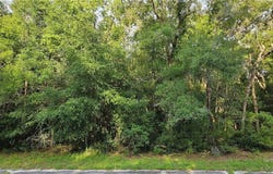 10147 N Dyal Drive, Citrus Springs, FL 34434