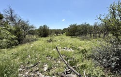 1081 Whitetail Trail, Eldorado, TX 76936
