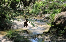 1510 Chocksacka Nene, Tallahassee, FL 32301